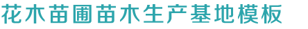 金年会